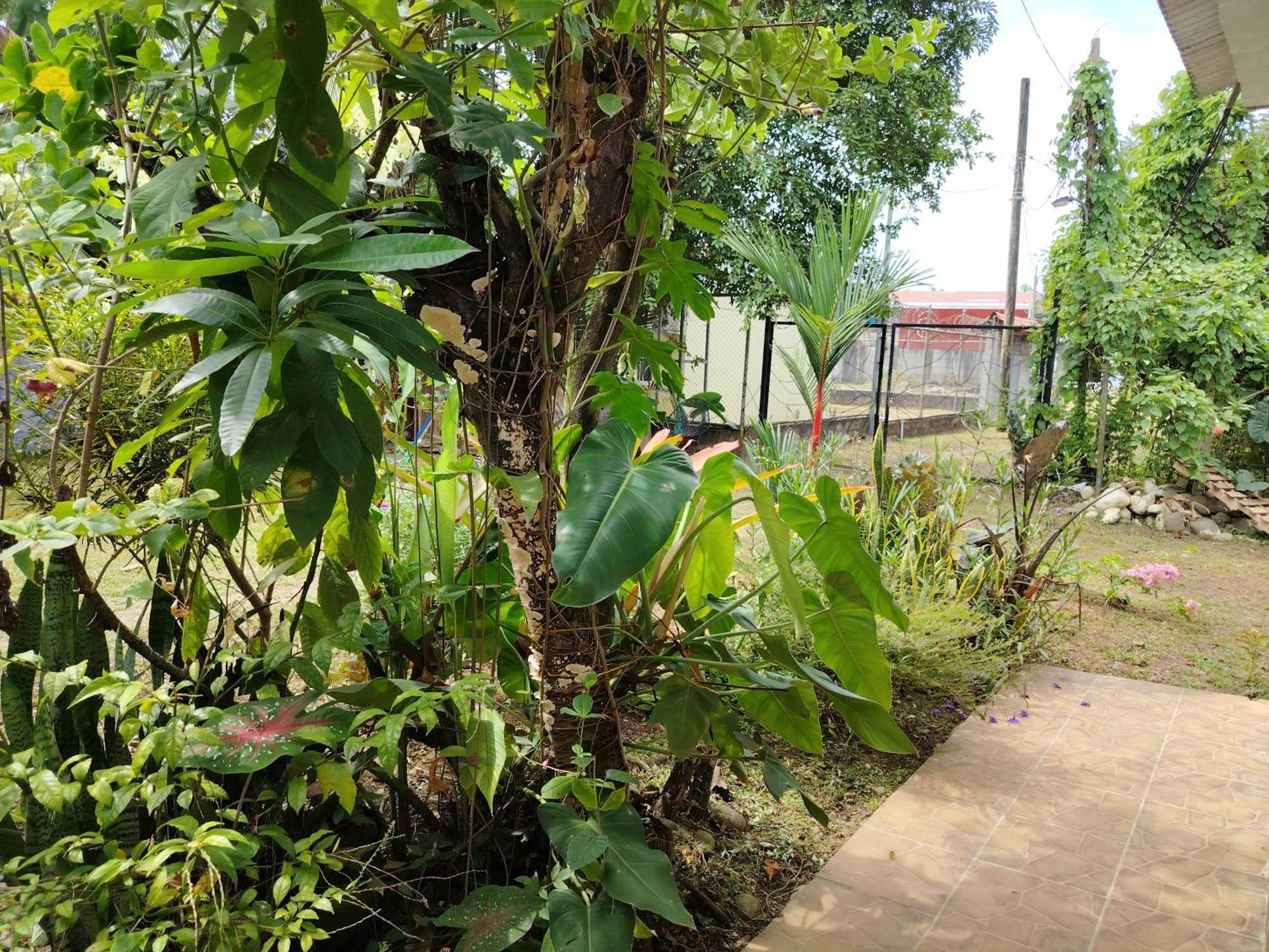 Ferienwohnung Casa Cristy Puerto Viejo de Talamanca Exterior foto
